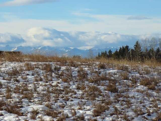 Main Photo: 251225 Range Road 33 in Rural Rocky View County: Land for sale : MLS®# C3593855