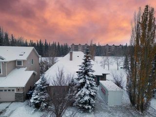 Photo 47: 146 Discovery Ridge Boulevard SW in Calgary: Discovery Ridge Detached for sale : MLS®# A2090092