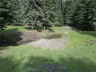 Photo 15: 2 miles west of Dartique Hall in COCHRANE: Rural Rocky View MD Rural Land for sale : MLS®# C3545361