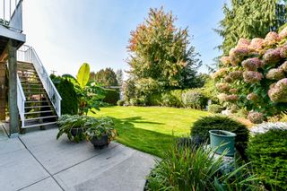 Photo 18: 21625 45 Avenue in Langley: Murrayville House for sale : MLS®# R2341850