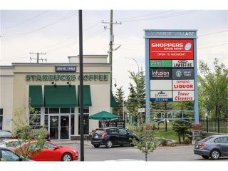 Photo 41: 300 EVERGLEN Way SW in Calgary: Evergreen House for sale : MLS®# C4065702