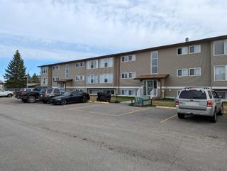 Main Photo: 214 101 Big Hill Way SE: Airdrie Apartment for sale : MLS®# A2129069