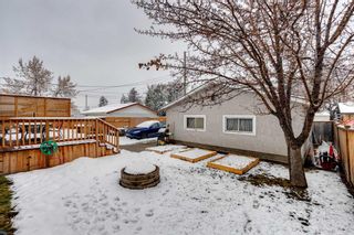 Photo 33: 2533 Sable Drive SE in Calgary: Southview Detached for sale : MLS®# A2120099