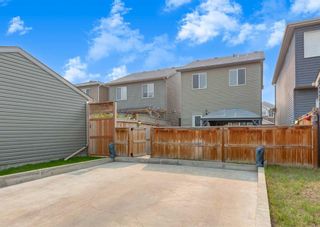 Photo 25: 84 Evansborough Way NW in Calgary: Evanston Detached for sale : MLS®# A2062634