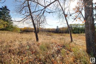 Photo 2: 24277 Twp Rd 500: Rural Leduc County Vacant Lot/Land for sale : MLS®# E4318118