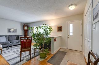 Photo 4: 4015 4 Avenue SW in Calgary: Wildwood Detached for sale : MLS®# A2052094