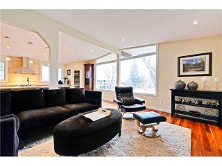 Photo 11: 8 LORNE Place SW in Calgary: North Glenmore Park House for sale : MLS®# C4052972