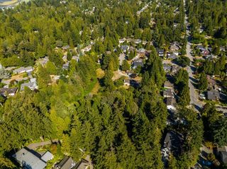Photo 8: 2489 123A Street in Surrey: Crescent Bch Ocean Pk. Land for sale (South Surrey White Rock)  : MLS®# R2721561