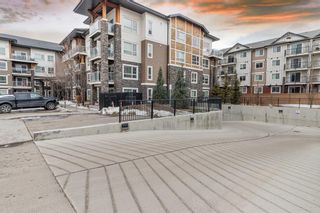 Photo 32: 4310 240 Skyview Ranch Road NE in Calgary: Skyview Ranch Apartment for sale : MLS®# A2024110