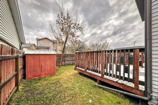 Photo 36: 3832 14 Avenue NE in Calgary: Marlborough Detached for sale : MLS®# A2128885