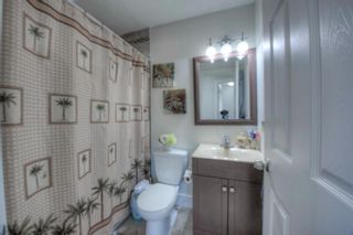 Photo 26: 108 TEMPLEMONT Circle NE in Calgary: Temple Detached for sale : MLS®# A1019637