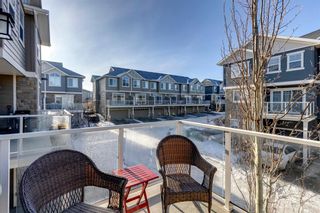 Photo 16: 306 Evanston Manor NW in Calgary: Evanston Row/Townhouse for sale : MLS®# A2019870