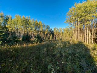 Photo 15: BLOCK D DL7872 TAKLA FOREST Road in Prince George: Reid Lake Land for sale in "McPhee Road" (PG Rural North)  : MLS®# R2768066