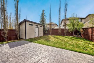 Photo 44: 164 Royal Oak Terrace NW in Calgary: Royal Oak Detached for sale : MLS®# A2122174