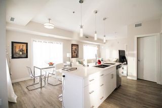 Photo 8: 215 80 Philip Lee Drive in Winnipeg: Crocus Meadows Condominium for sale (3K)  : MLS®# 202012317