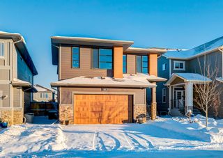 Photo 44: 40 CRANBROOK Circle SE in Calgary: Cranston Detached for sale : MLS®# A2006840