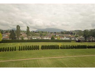 Photo 9: # 508 4425 HALIFAX ST in Burnaby: Brentwood Park Condo for sale (Burnaby North)  : MLS®# V1125998