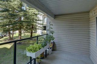 Photo 26: 2119 950 Arbour Lake Road NW in Calgary: Arbour Lake Apartment for sale : MLS®# A1245026