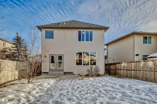 Photo 46: 681 Panatella Boulevard NW in Calgary: Panorama Hills Detached for sale : MLS®# A2018696