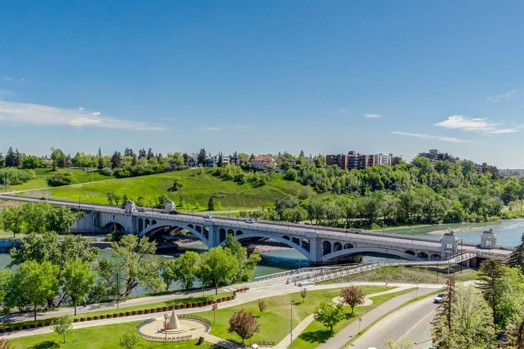 Main Photo: 1002 205 Riverfront Avenue SW in Calgary: Chinatown Apartment for sale : MLS®# A2119251