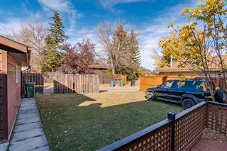 Photo 25: 455 Templeton Road NE in Calgary: Temple Detached for sale : MLS®# A2047386