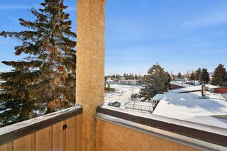Photo 4: 301 4619 73 Street NW in Calgary: Bowness Apartment for sale : MLS®# A2035068