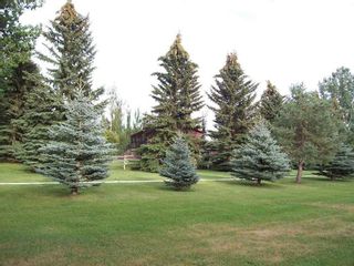Photo 43: 253067A Township Road 230: Rural Wheatland County Detached for sale : MLS®# A2126142