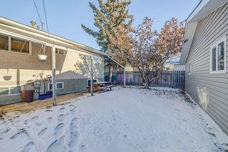 Photo 33: 3421 19 Avenue SE in Calgary: Southview Detached for sale : MLS®# A2019287