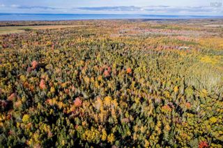 Photo 19: Lot 6 Hiltz Road in Mountain Front: Kings County Vacant Land for sale (Annapolis Valley)  : MLS®# 202300799