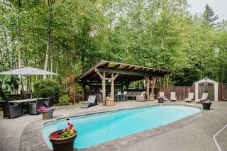 Photo 33: 24625 MCCLURE Drive in Maple Ridge: Albion House for sale in "THE UPLANDS" : MLS®# R2498339
