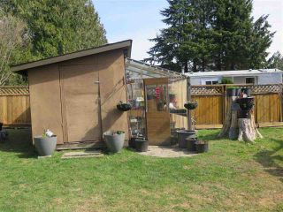 Photo 15: 22 41495 N NICOMEN Road in Mission: Dewdney Deroche Manufactured Home for sale in "Leq'a:mel" : MLS®# R2482161