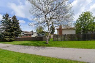 Photo 37: 7 Bearberry Crescent NW in Calgary: Beddington Heights Detached for sale : MLS®# A2141049