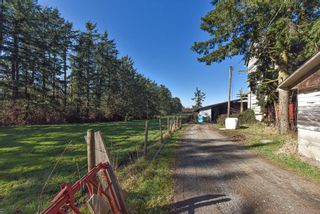 Photo 21: 29367 DOWNES Road in Abbotsford: Bradner House for sale : MLS®# R2662546