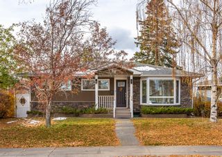 Main Photo: 55 Fay Road SE in Calgary: Fairview Detached for sale : MLS®# A2009551