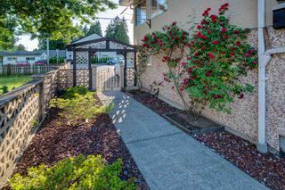 Photo 17: 685 BLUE MOUNTAIN Street in Coquitlam: Central Coquitlam House for sale : MLS®# R2283086