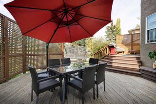 Photo 28: 248 Mt Sparrowhawk Place SE in Calgary: McKenzie Lake Detached for sale : MLS®# A2081840