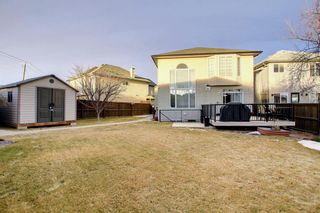 Photo 45: 95 Coville Close NE in Calgary: Coventry Hills Detached for sale : MLS®# A1175520