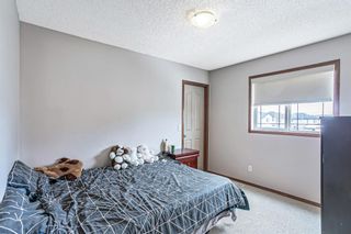 Photo 21: 75 Evansmeade Common NW in Calgary: Evanston Detached for sale : MLS®# A1058218