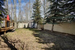 Photo 40: 15 Cranleigh Mews SE in Calgary: Cranston Detached for sale : MLS®# A2127859