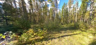 Photo 14: LOT 3 N QUEEST ANSTEY ARM in No City Value: Out of Town Land for sale : MLS®# R2673951