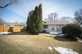 Photo 12: 122 Deloraine Drive in Winnipeg: Crestview Residential for sale (5H)  : MLS®# 202109005