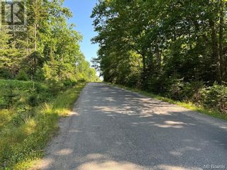 Photo 2: 0 Hills Point Road in Oak Bay: Vacant Land for sale : MLS®# NB096793