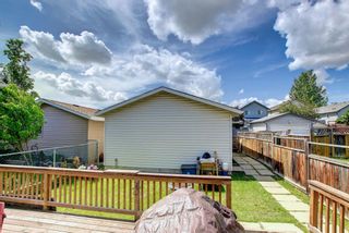 Photo 24: 45 Country Hills Drive NW in Calgary: Country Hills Detached for sale : MLS®# A1232960