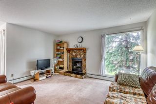 Photo 3: 4278 90 Glamis Drive SW in Calgary: Glamorgan Apartment for sale : MLS®# A1131659