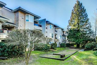 Photo 12: 106 1999 SUFFOLK Avenue in Port Coquitlam: Glenwood PQ Condo for sale in "Key West" : MLS®# R2330864
