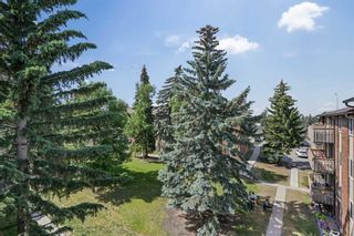 Photo 19: 733 11620 Elbow Drive SW in Calgary: Canyon Meadows Apartment for sale : MLS®# A2055019