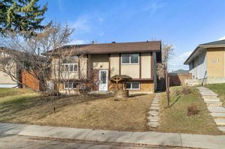 Photo 6: 3213 Dover Road SE in Calgary: Dover Detached for sale : MLS®# A2122540