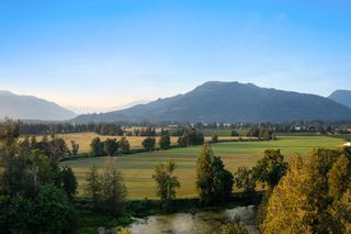 Photo 39: 48228 CAMP RIVER Road in Chilliwack: East Chilliwack House for sale : MLS®# R2849028