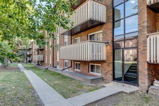 Photo 23: 914 11620 Elbow Drive SW in Calgary: Canyon Meadows Apartment for sale : MLS®# A2003502