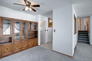 Photo 13: 15 Oxbow Street: Red Deer Detached for sale : MLS®# A2011608